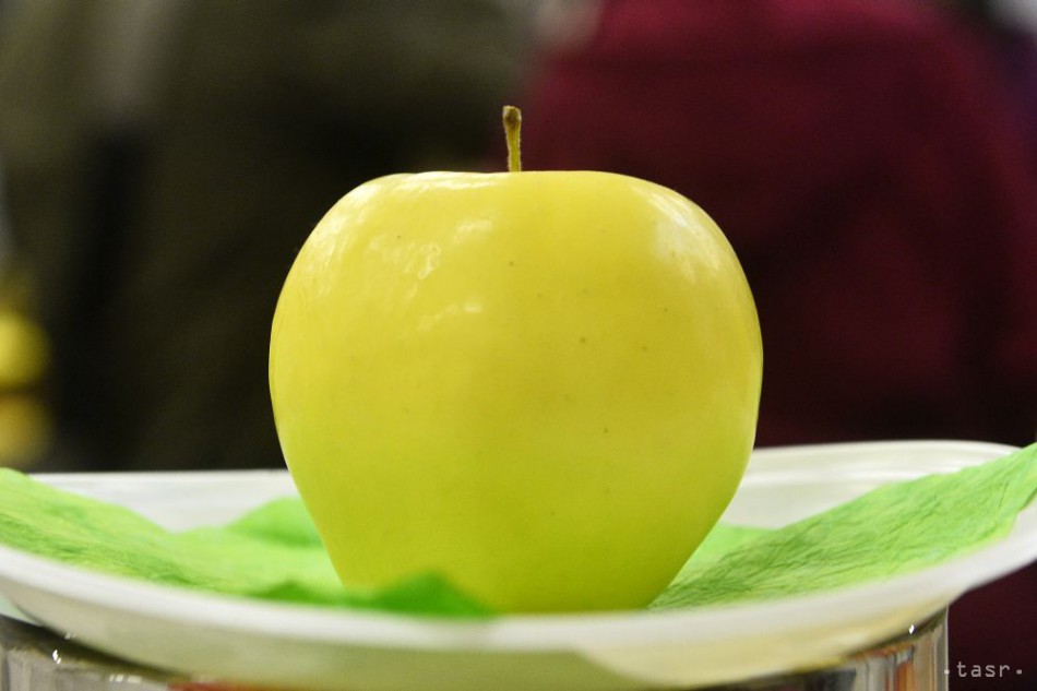 Víťazné jablko v súťaži Jablko roka 2016 od pestovateľa Ivana Hlavatého zo Šurian.