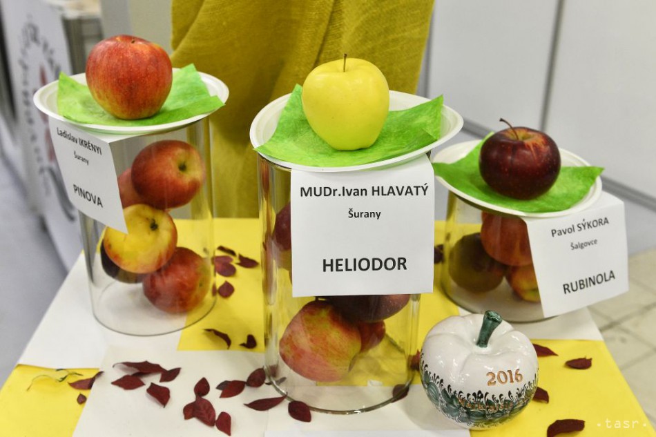 Prvé tri víťazné jablká v súťaži Jablko roka 2016 počas 7. ročníka výstavy ovocia, potrieb záhradkárov a včelárov a farmárskych produktov Jahrada, 21. októbra 2016 v Trenčíne.