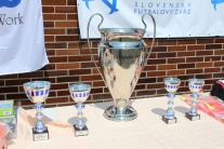 Appelia cup 2013