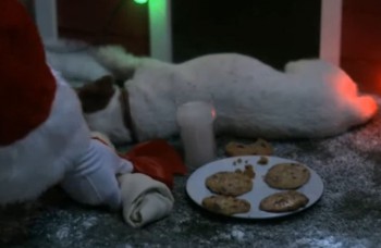 LIKE DŇA: Pes čaká Santa Clausa