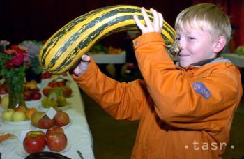 Ako prinútite deti, aby zjedli zeleninu? Nechajte ich pohrať sa
