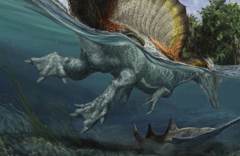 Najväčší dinosaurí dravec všetkých čias hľadal korisť vo vode