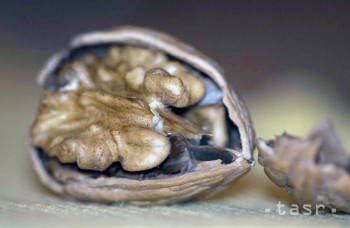 Hrsť orechov denne spomalí rast rakoviny hrubého čreva 