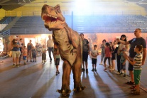 Dino Expo v Košiciach 
