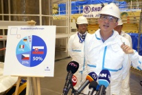 Slovensko Mochovce energetika hospodárstvo NRX Slo