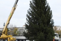 Nitra už má vianočný strom