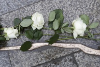 Biele ruže, Berlín, spomienka, terorizmus