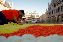 Kvetinový koberec v Bruseli