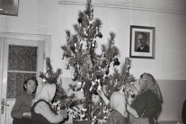 Vianočné stromčeky 1945 - 1970