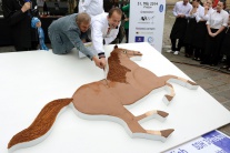 Rekordná torta v tvare koňa