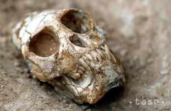 Grécki archeológovia hlásia možný nález Aristotelovho hrobu 