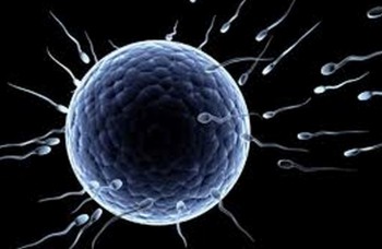 Prečo klesá počet spermií? Môže za to moderný svet