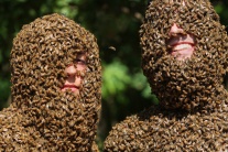 Súťaž o najkrajšiu včeliu bradu