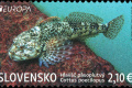 Pošta vydáva známku Europa 2024: Fauna a flóra tatranských plies