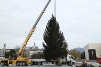 Nitra už má vianočný strom