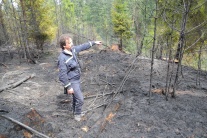 Požiar lesa pri obci Gánovce je pod kontrolou 