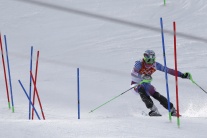 Slovenskí lyžiari v superkombinácii na ZOH