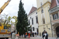 Hlavné námestie v Bratislave má vianočný stromček