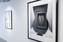 Výstava fotografa Tona Stana v galérii White & Wei