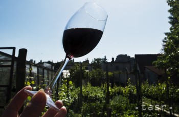 Toto ste netušili: Červené víno pomáha v boji proti obezite
