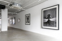 Výstava fotografa Tona Stana v galérii White & Wei
