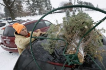 Predaj vianočných stromčekov v americkej Iowe