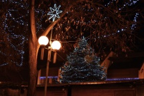 Rozsvietenie vianočného stromčeka v Trnave 