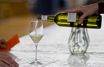 Na Záhorí je obľúbená vínna turistika
