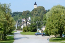 Dedina Svinica 