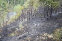 Požiar lesa pri obci Gánovce je pod kontrolou 