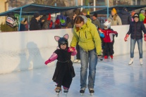 Ľadový karneval vo Vajnoroch 