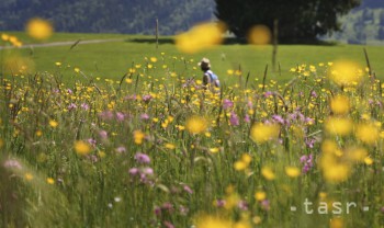 Invázne rastliny ohrozujú slovenskú flóru, niektoré druhy môžu vyhynúť