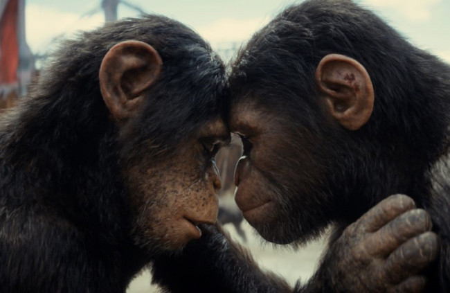 Kráľovstvo planéty opíc prinesie fenomenálne filmárske technológie