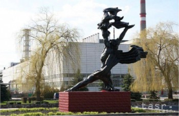 Štúdia: V ochrannej zóne okolo Černobyľa sa darí cicavcom