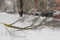V Bratislave padali aj stromy