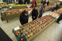 Výstava jabĺk a hrušiek