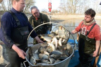 Slovensko životné prostredie príroda ryby KEX|Rybn